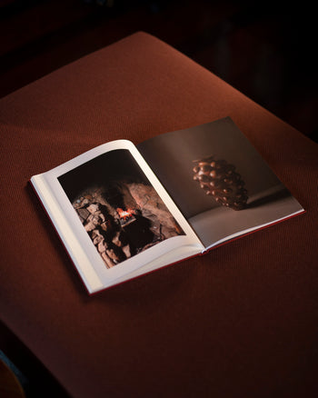 Special Edition Devotion Book
